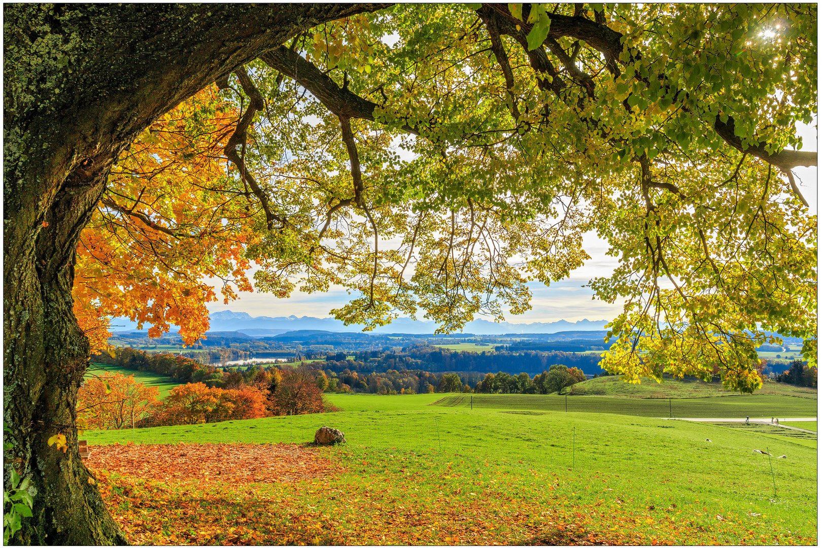 Herbstlich