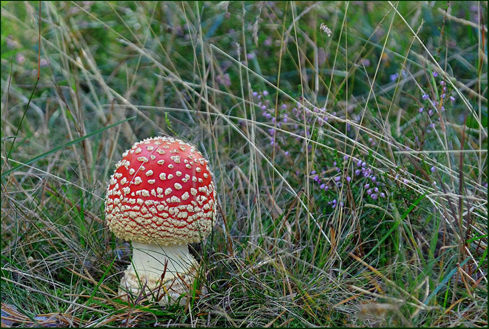 herbstlich