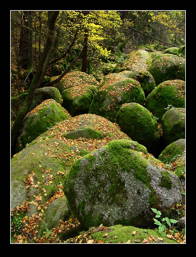 herbstlich