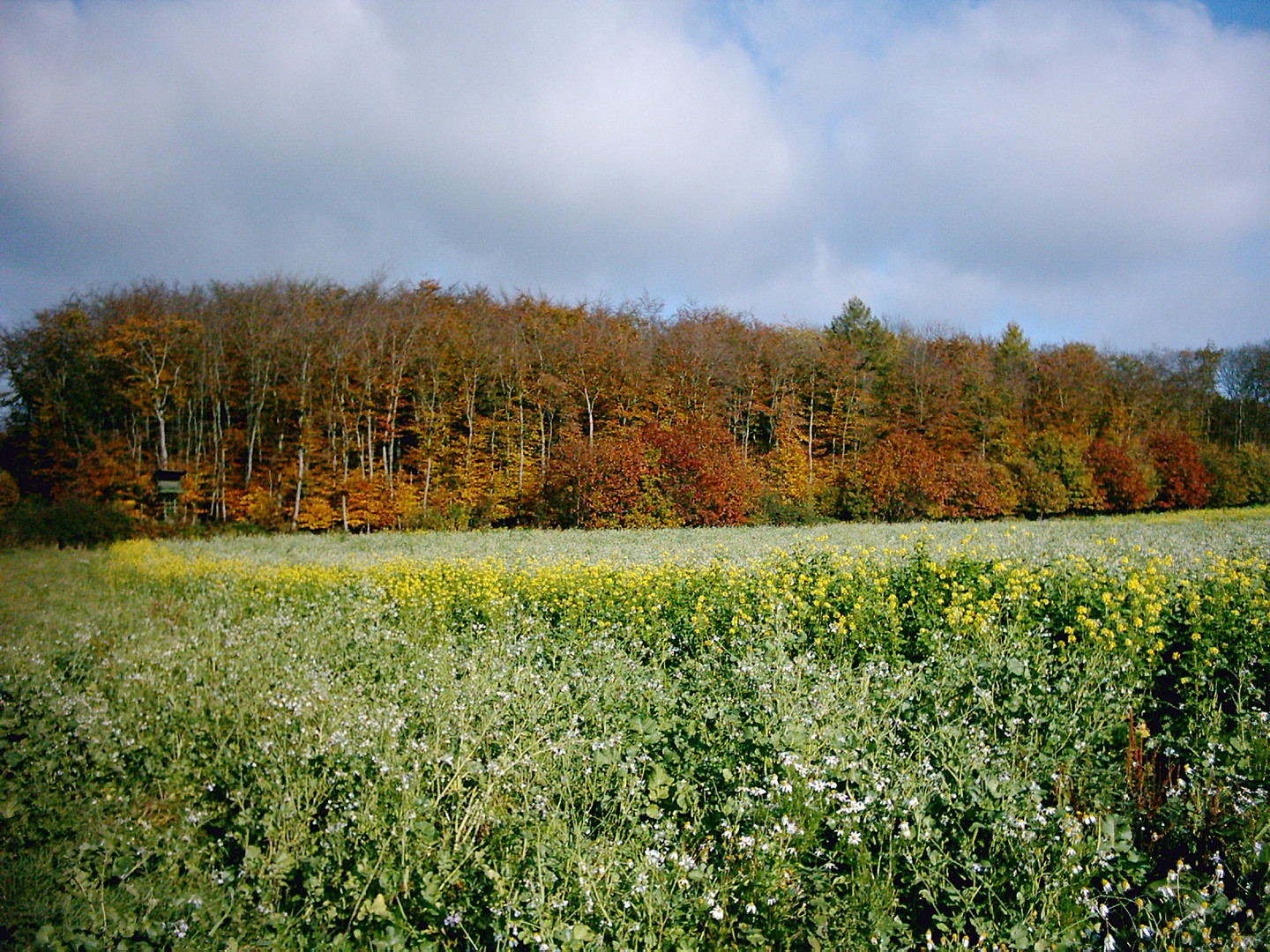 herbstlich