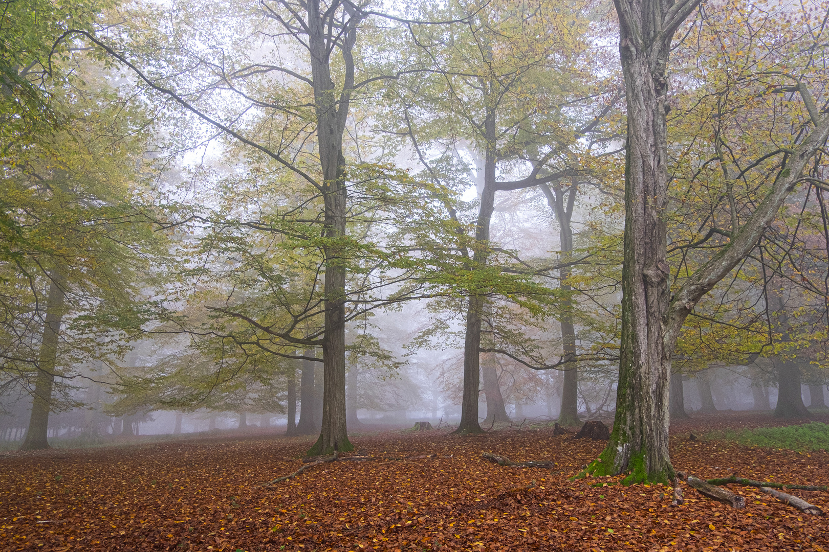 herbstlich