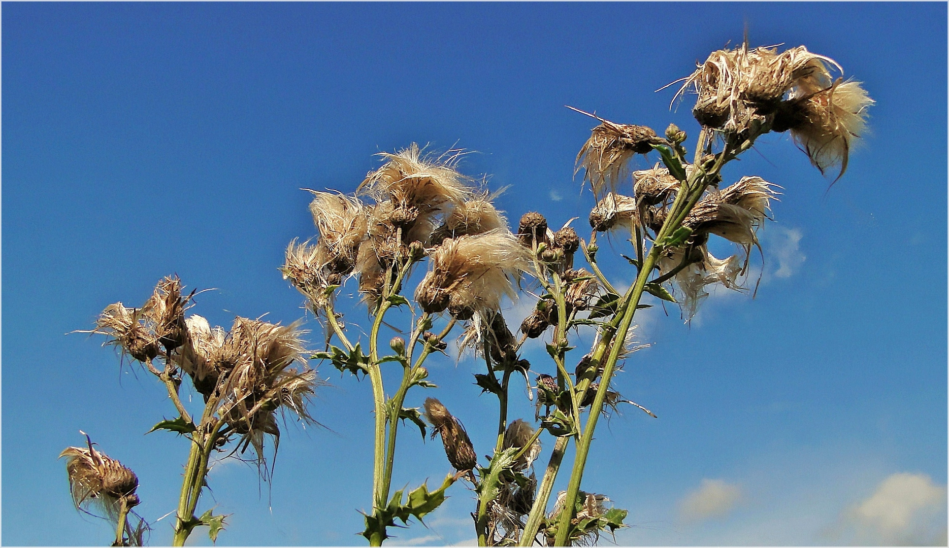 Herbstlich