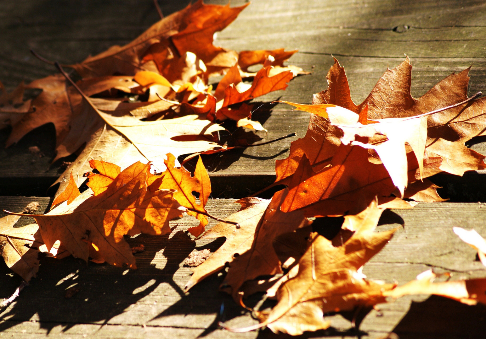 Herbstlich