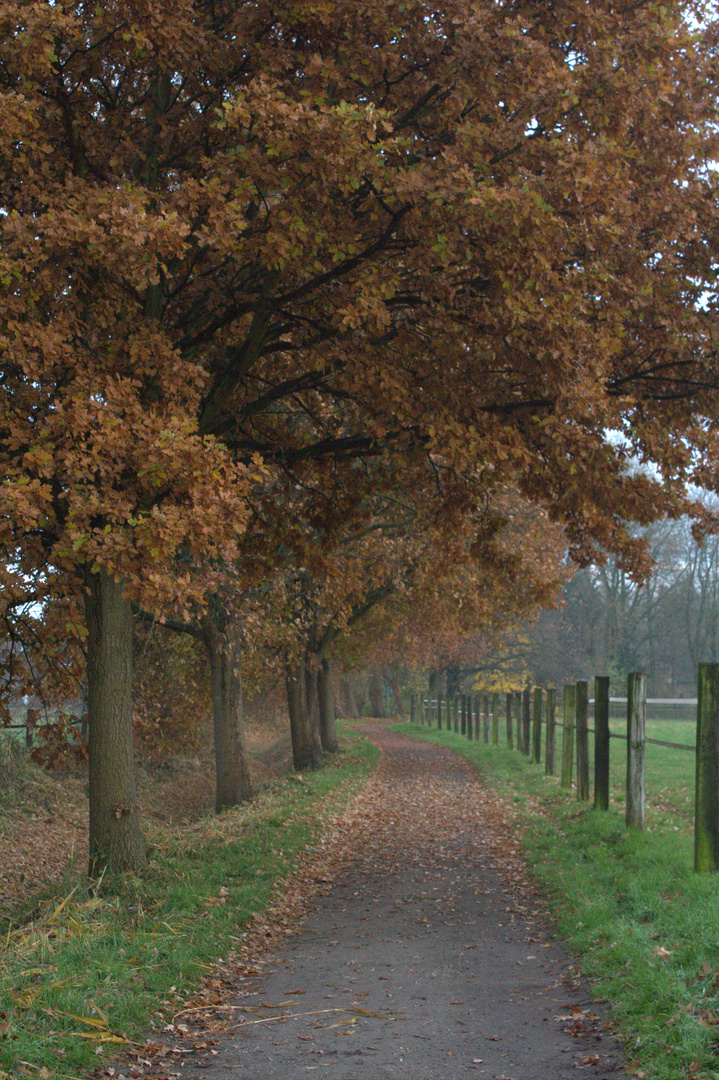 herbstlich