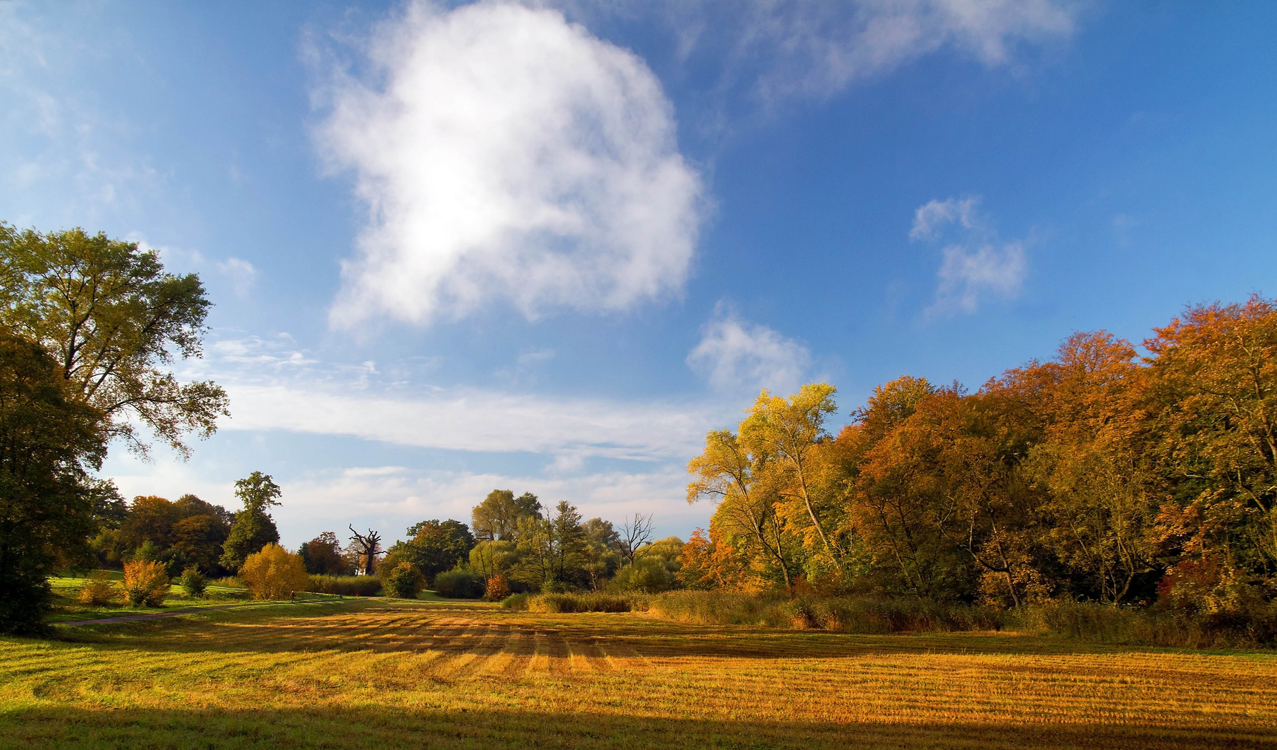 Herbstlich