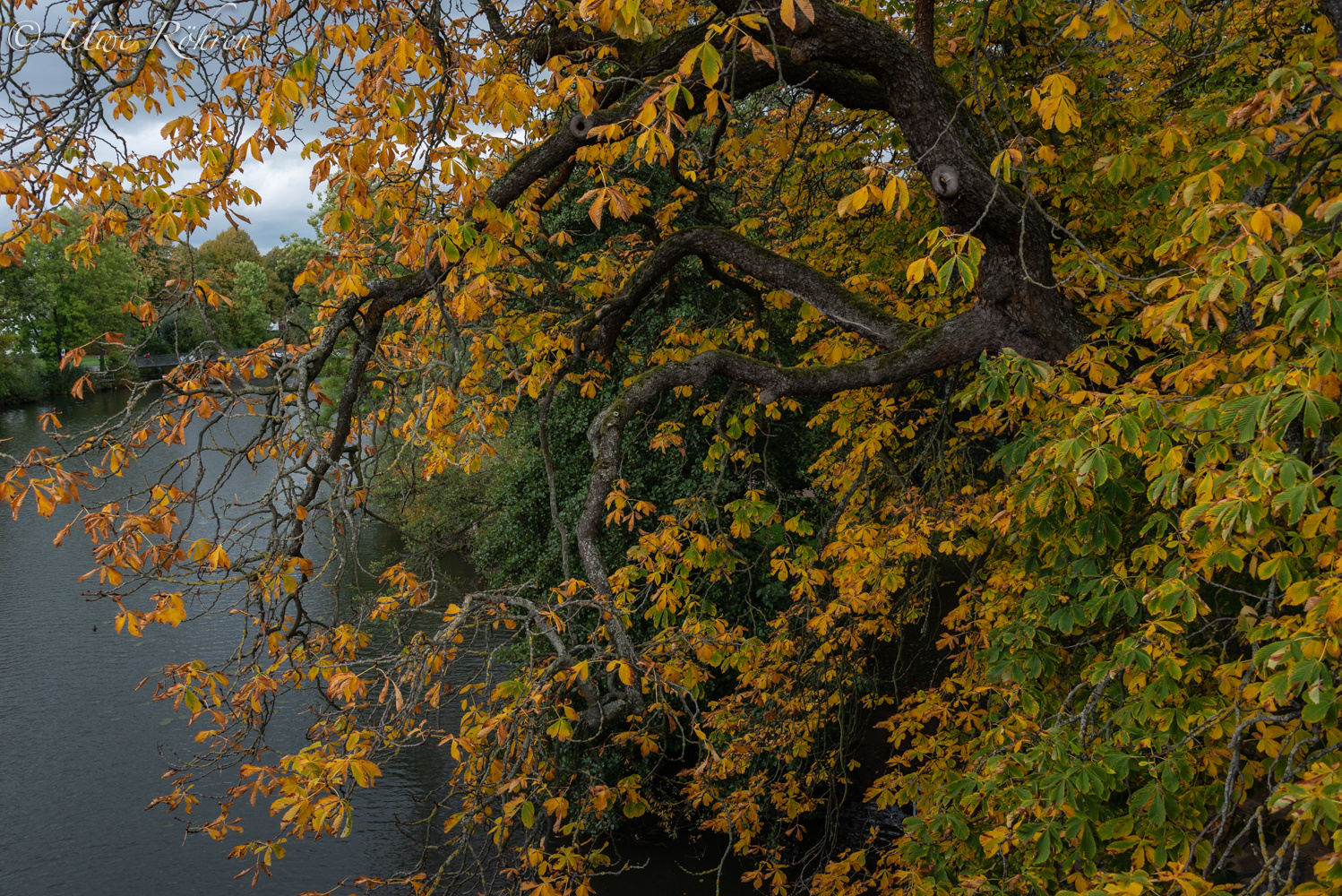 Herbstlich