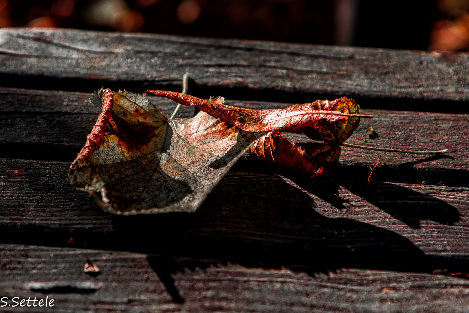 Herbstlich