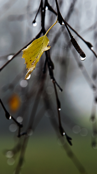 herbstlich