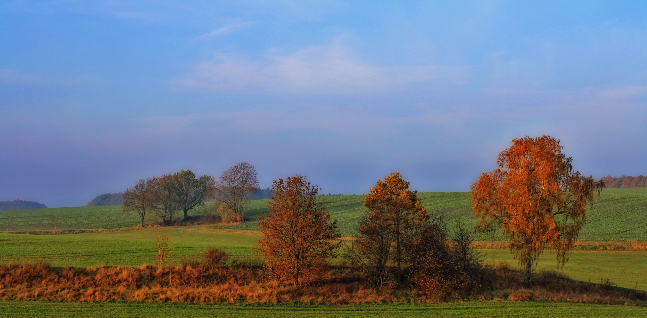 herbstlich