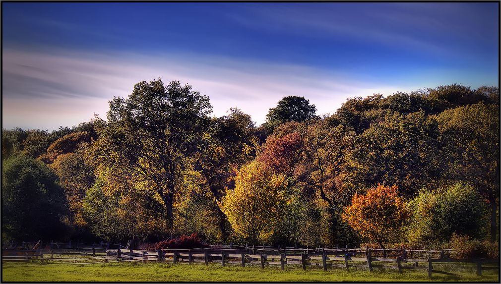 * Herbstlich *