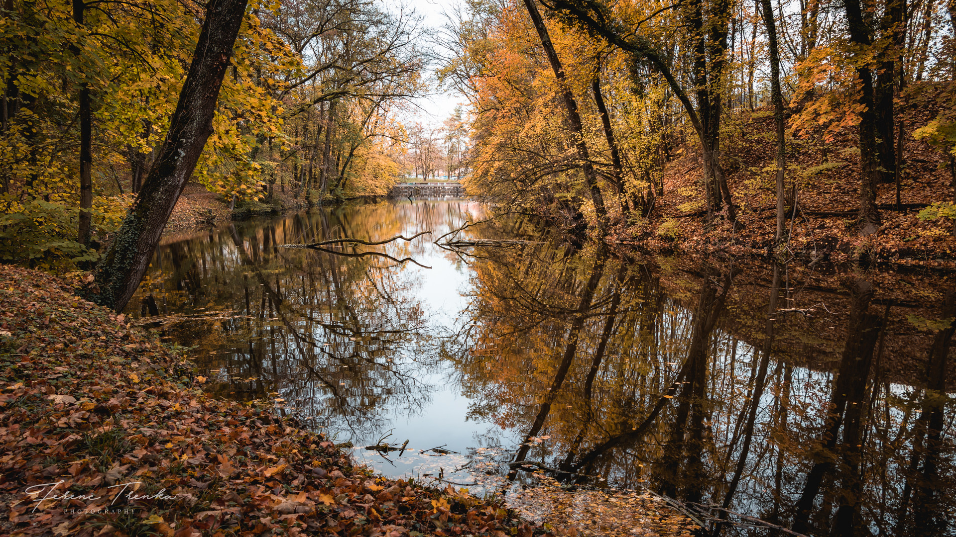 Herbstlich