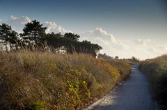 Herbstlich am Deich 