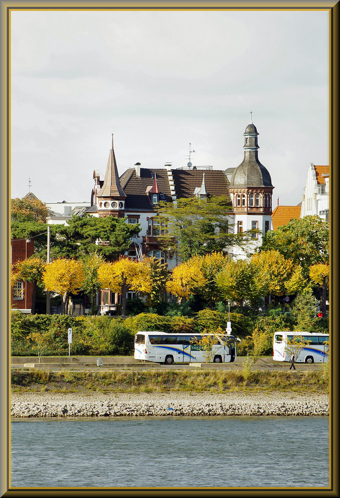 Herbstlich am Kölner-Rhein-Ufer