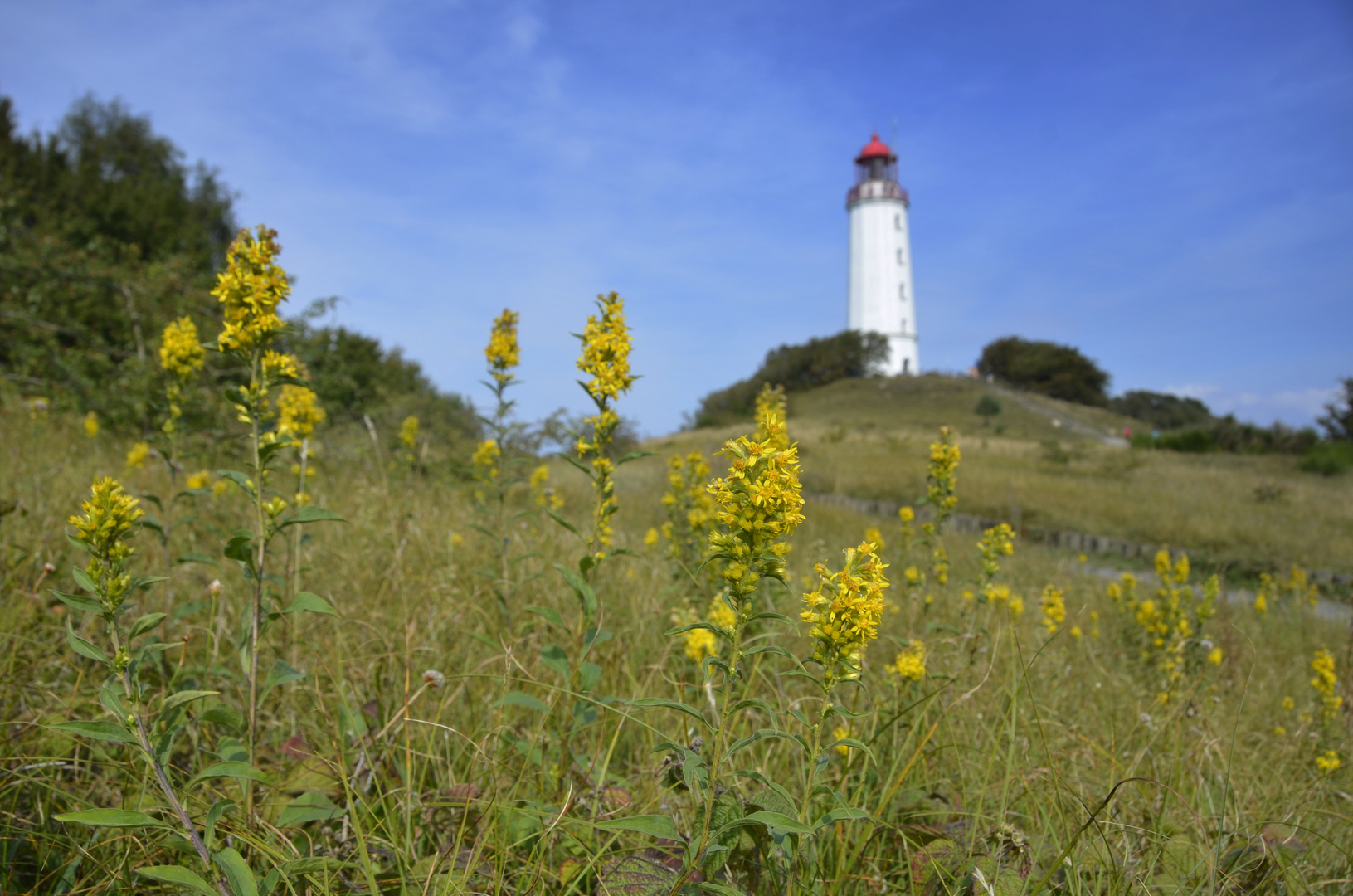 Herbstlich am Leuchtturm 