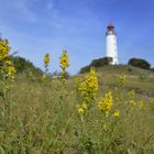 Herbstlich am Leuchtturm 