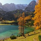 Herbstlich am Seebensee