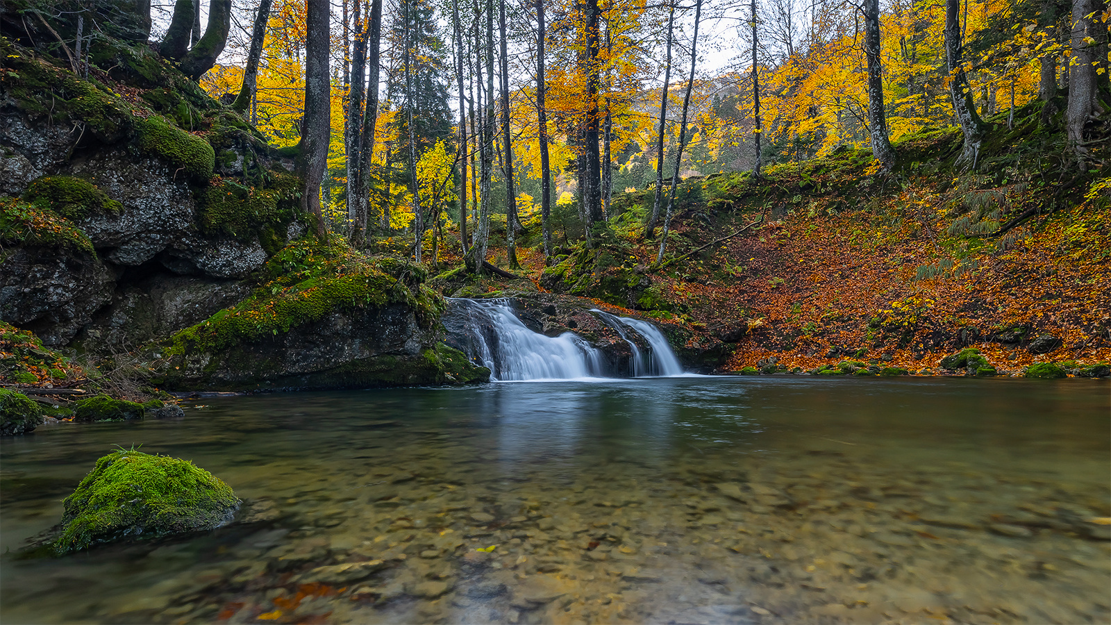 "Herbstlich am Wasser..........I"