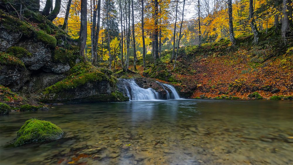 "Herbstlich am Wasser..........I"