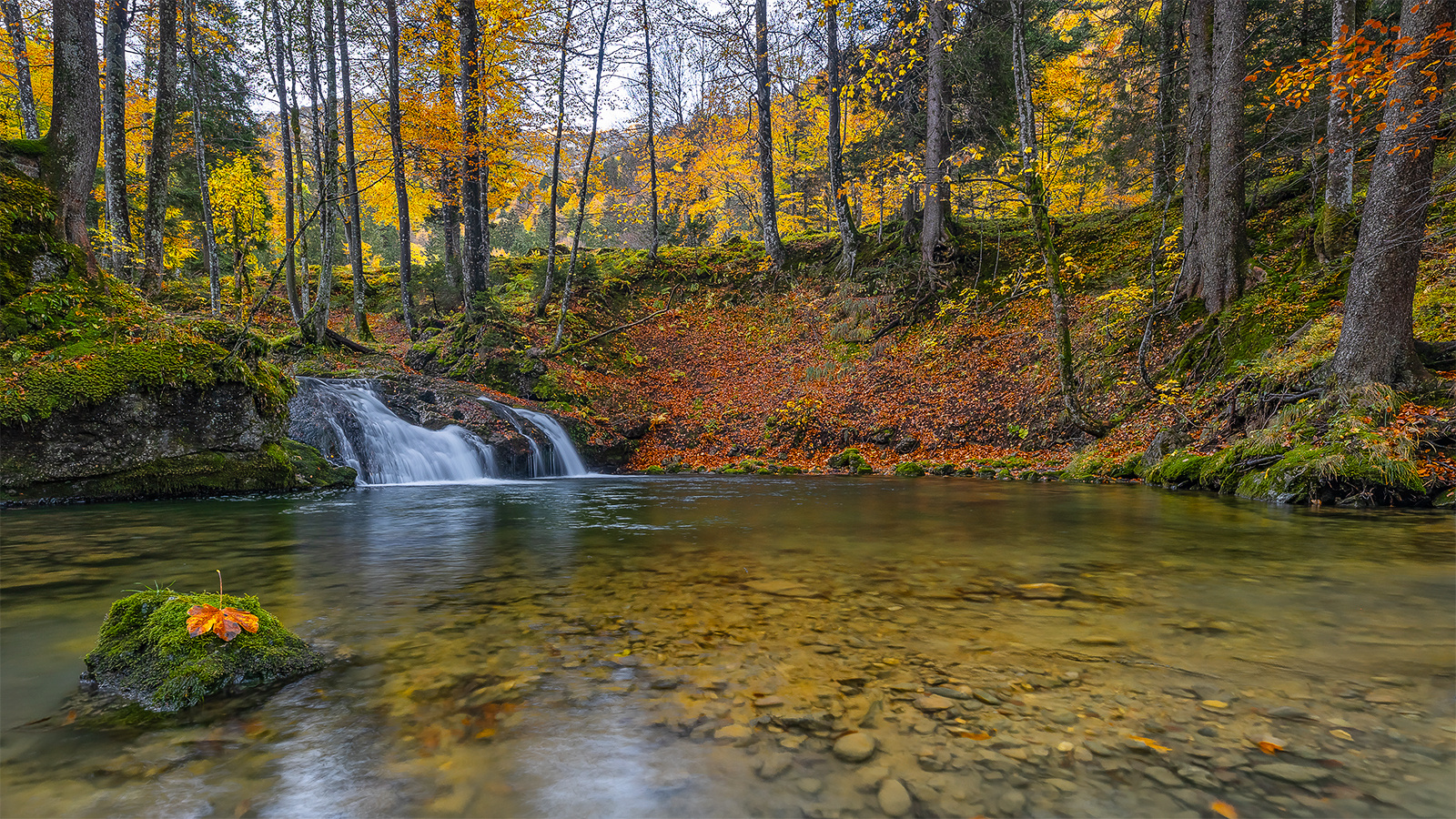 "Herbstlich am Wasser......II"