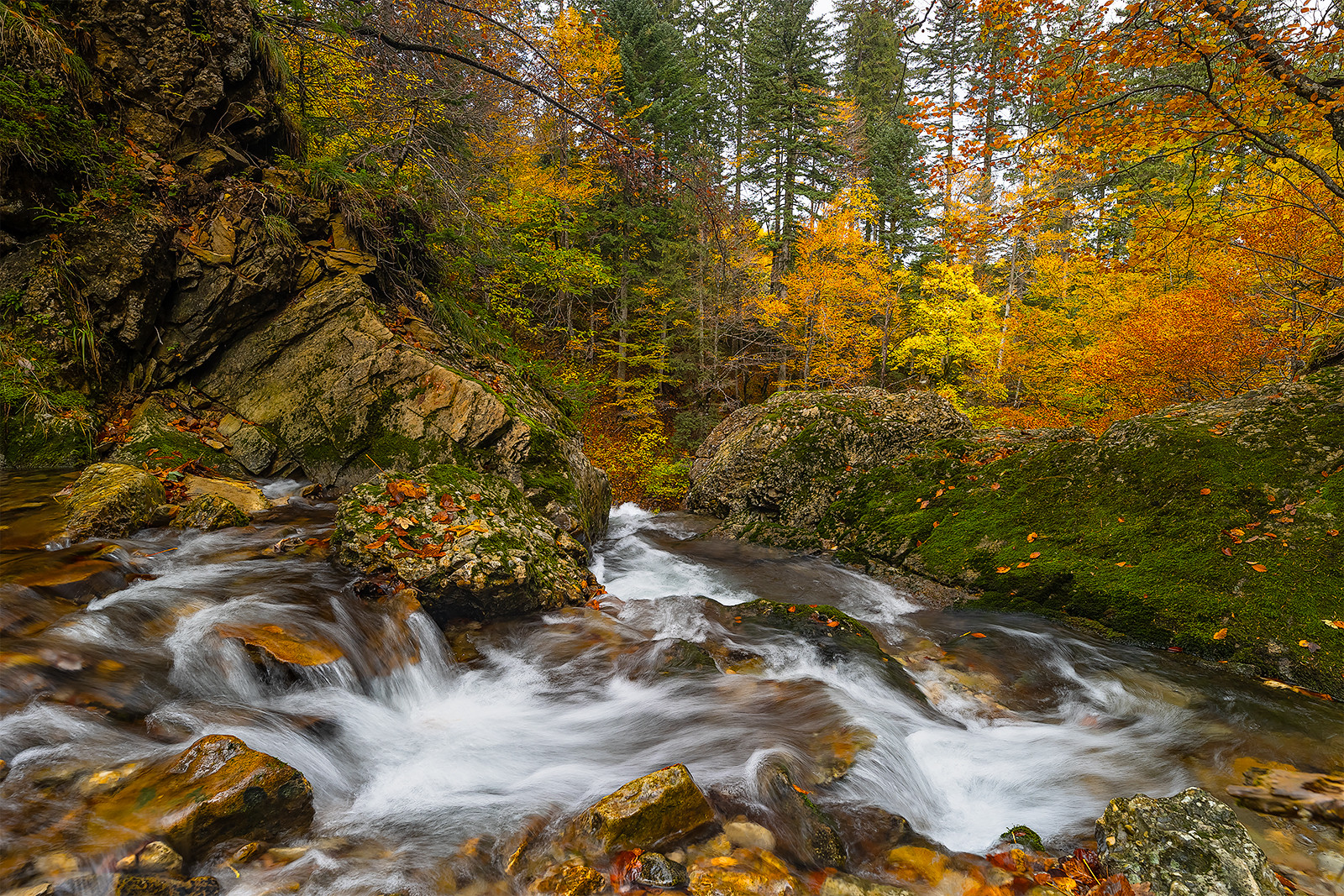 "Herbstlich am Wasser....V"