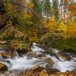 "Herbstlich am Wasser....V"