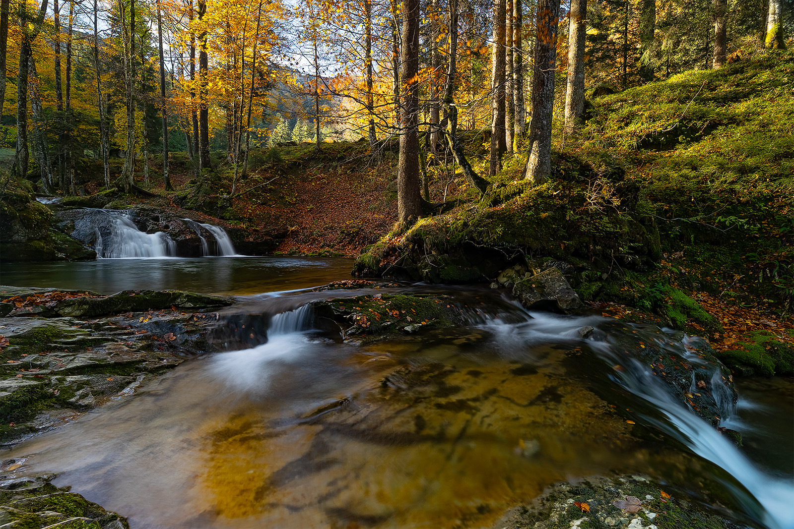 "Herbstlich am Wasser.......VI"