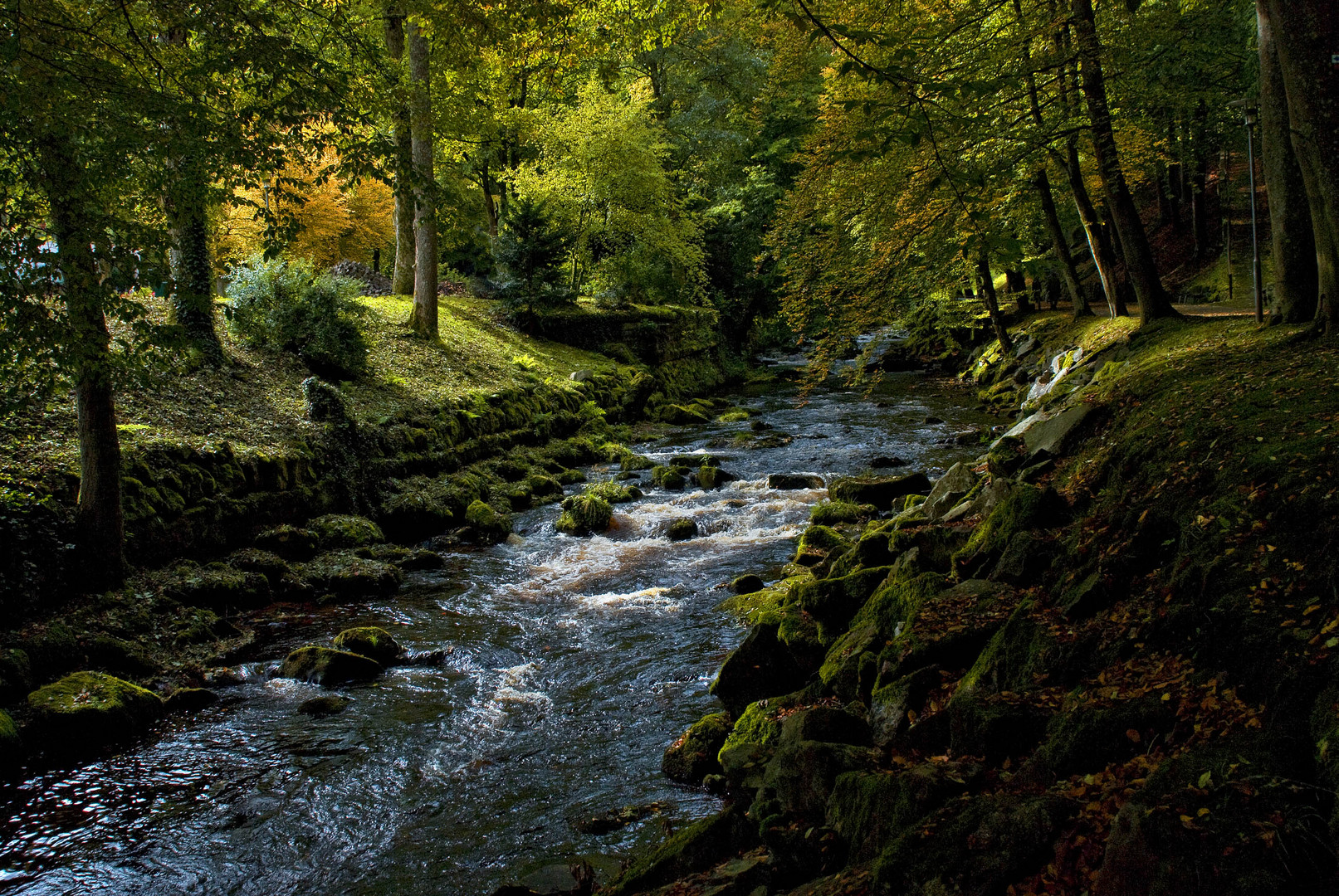 Herbstlich an der Enz