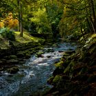 Herbstlich an der Enz