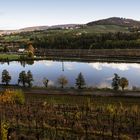 Herbstlich an der Mosel