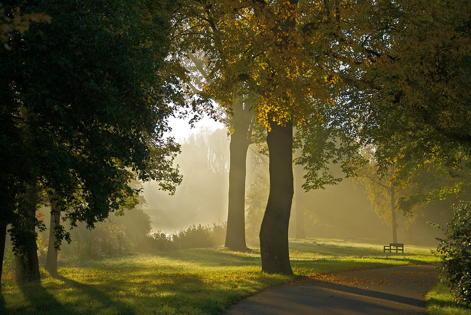 herbstlich an der Rems