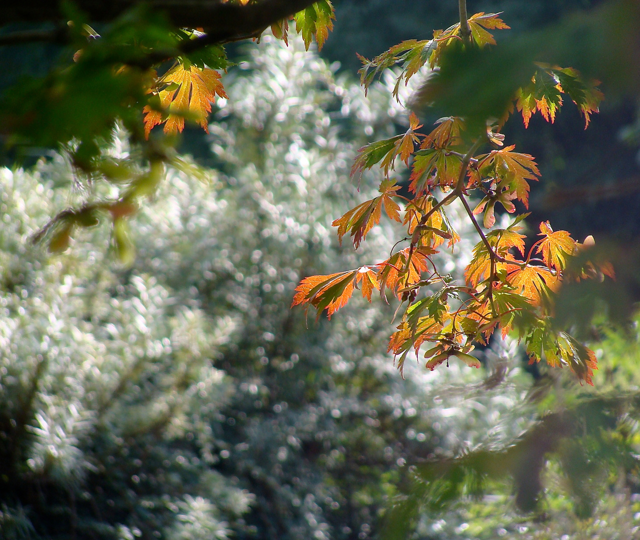 herbstlich angehaucht