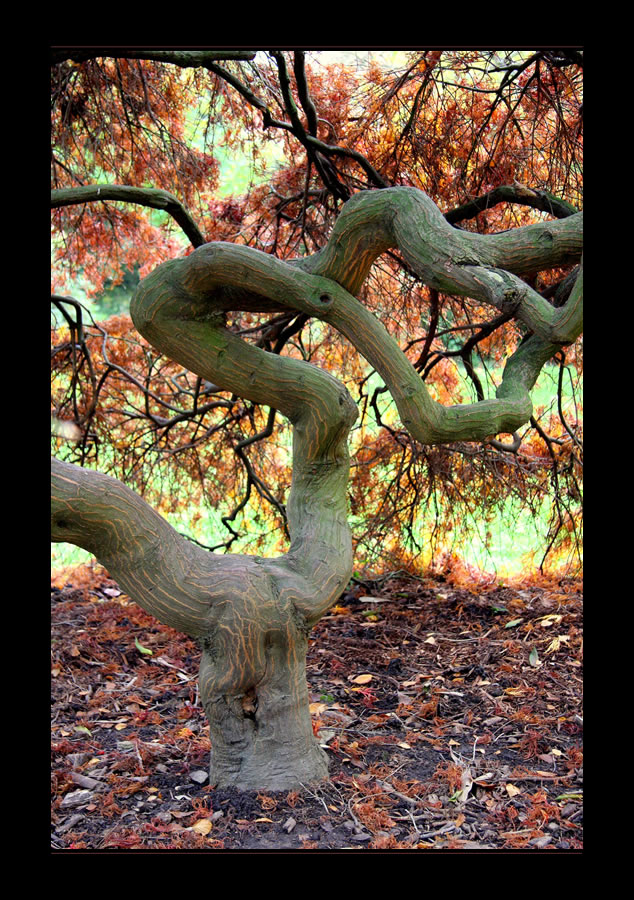 Herbstlich angehaucht