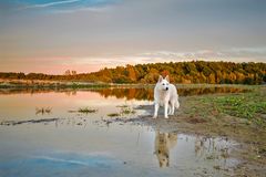 Herbstlich angehaucht ....