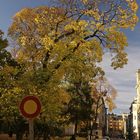 Herbstlich angepaßtes Verkehrschild - Gestern in Helsinki