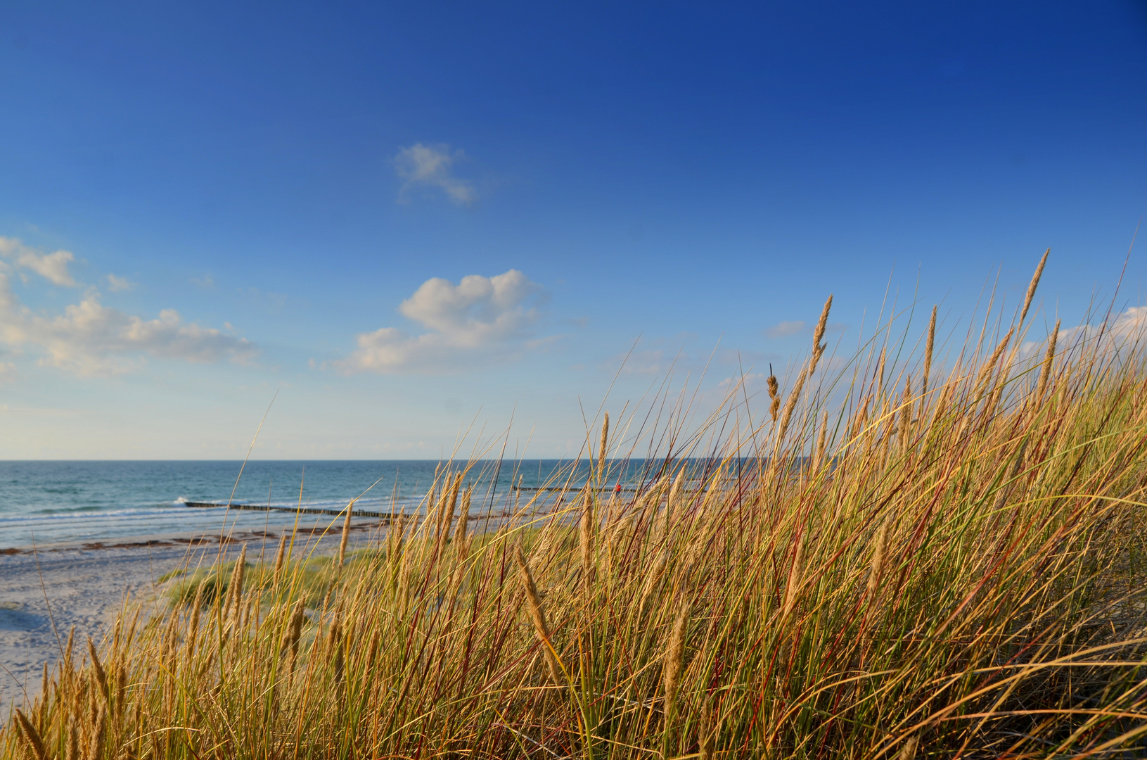 Herbstlich auf Hiddensee 