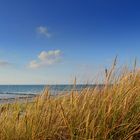 Herbstlich auf Hiddensee 