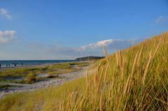 Herbstlich auf Hiddensee 