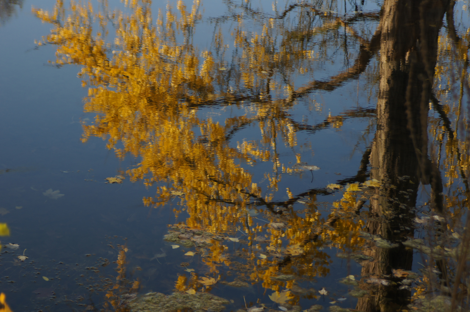 herbstlich