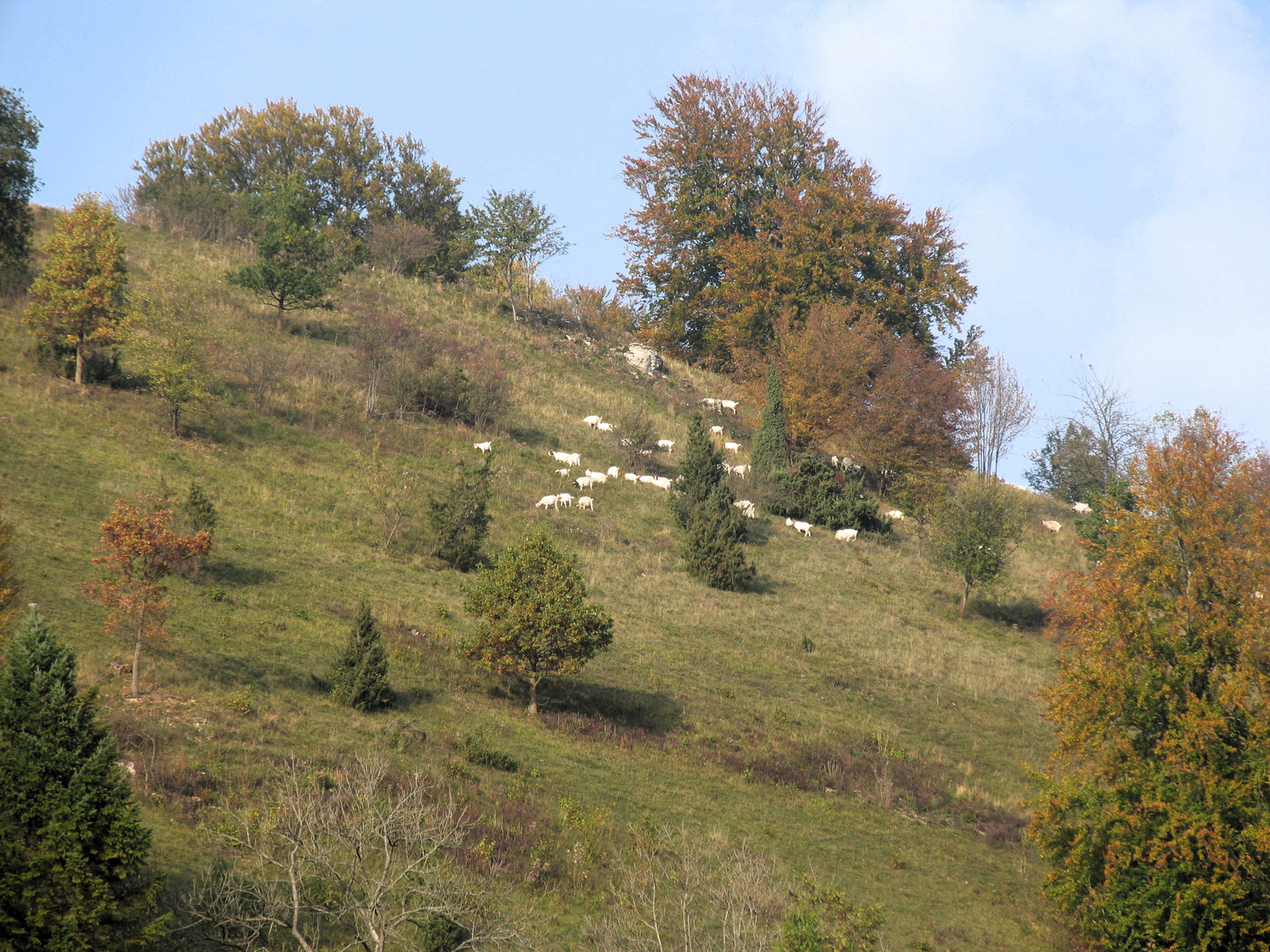 Herbstlich