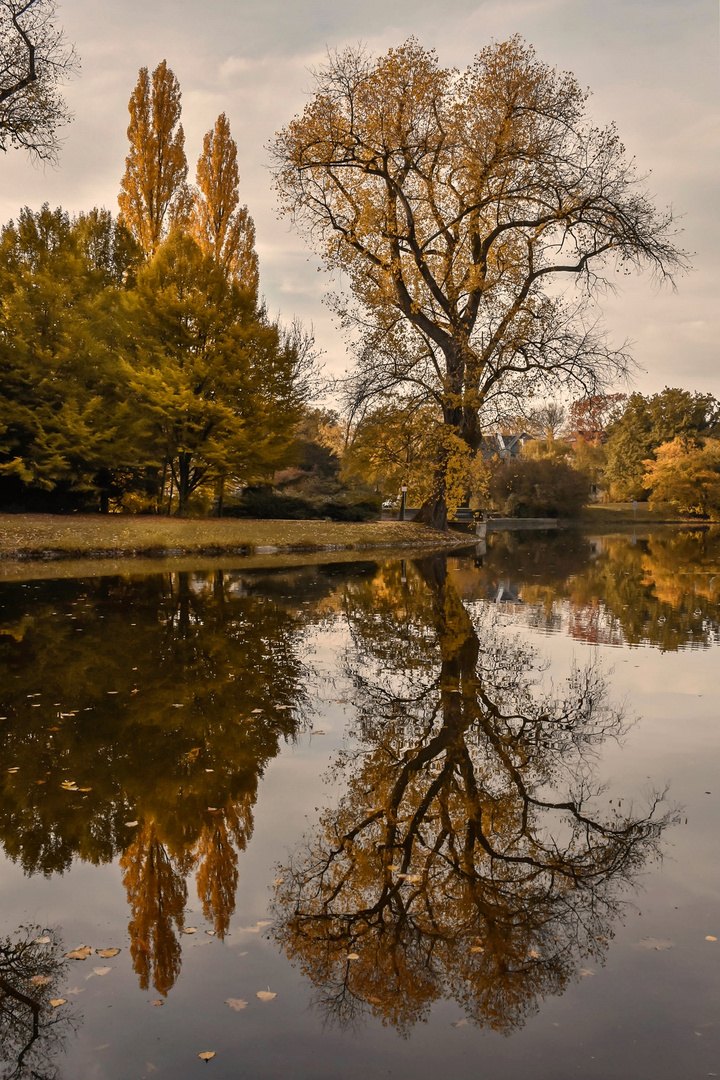 Herbstlich