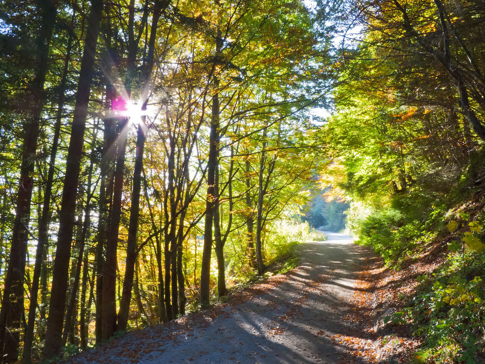 herbstlich