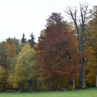 Herbstlich