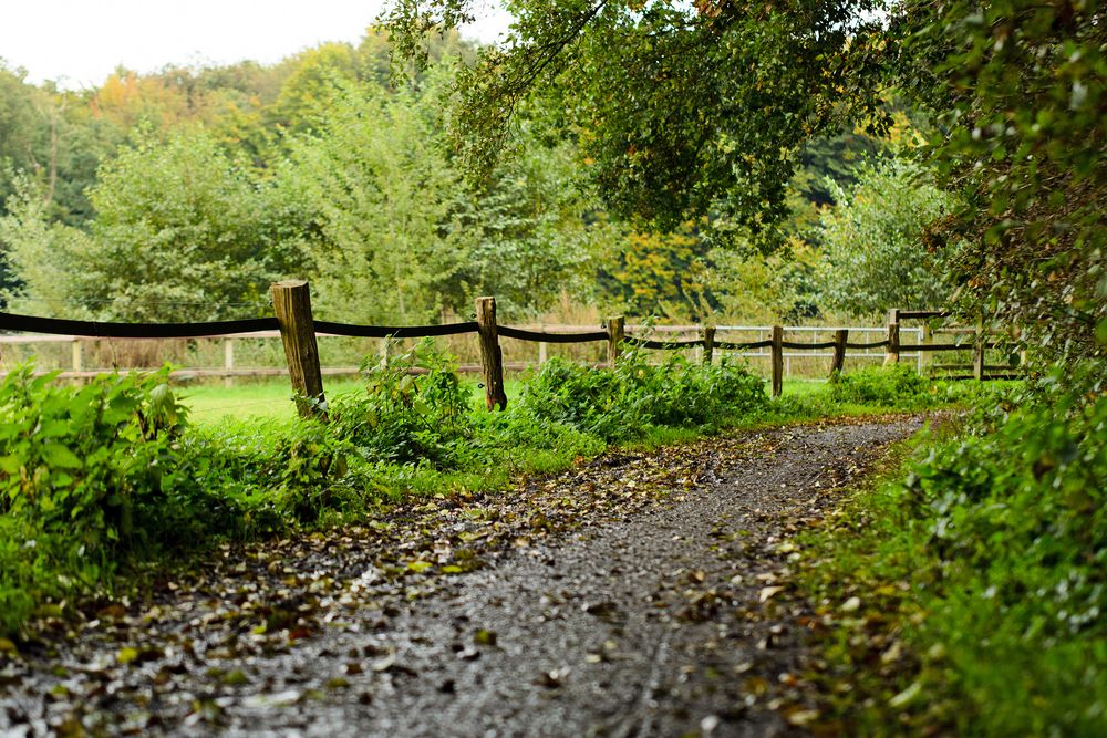 Herbstlich