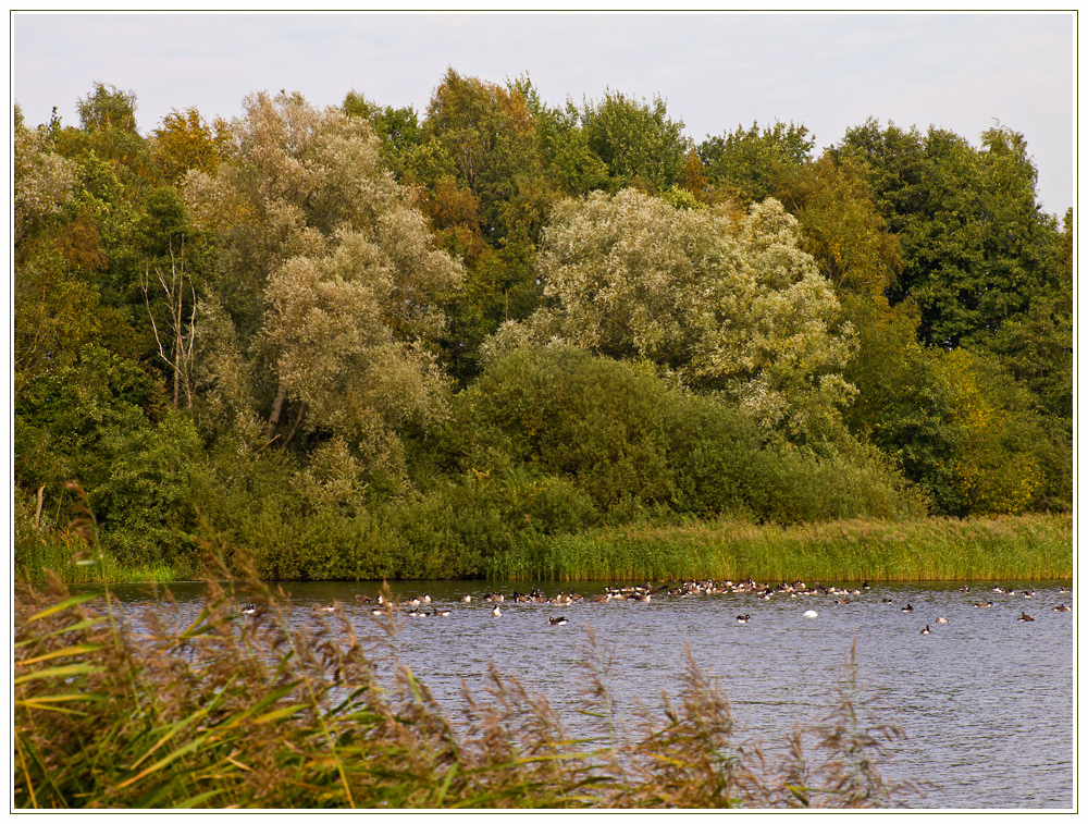 Herbstlich