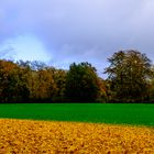 Herbstlich