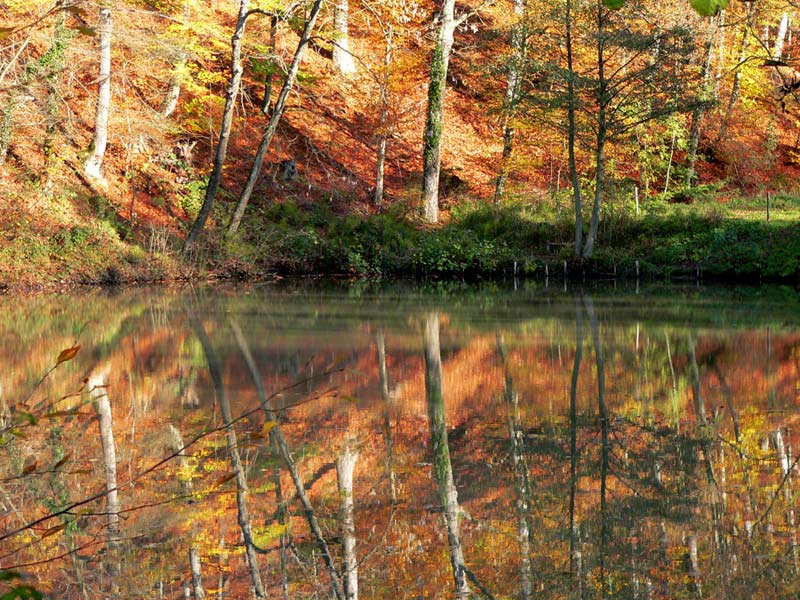 herbstlich