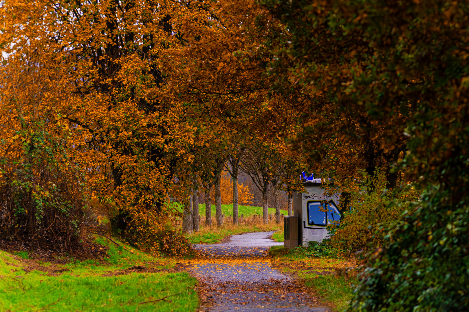 Herbstlich bunt