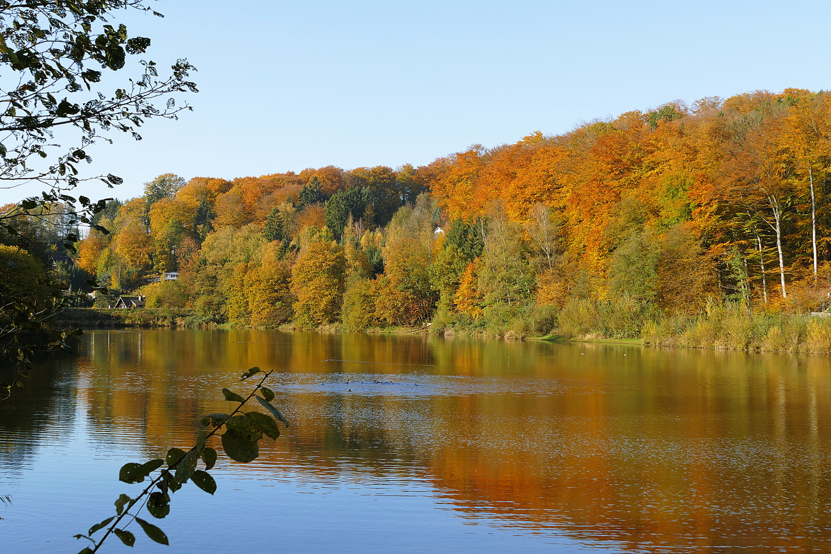 herbstlich bunt