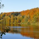 herbstlich bunt