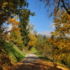 Herbstlich bunt